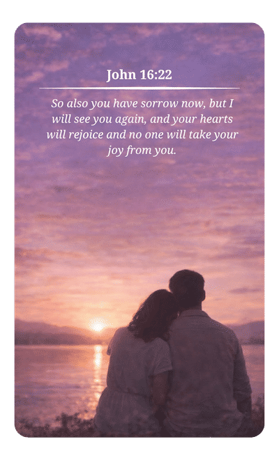 Bible — No one will take your joy