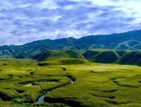 Manipur community's profile image