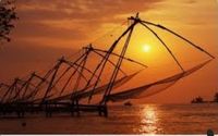 The Mankas of Kochi 💗 community profile picture