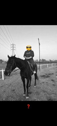 Horse Rider 🏇 community profile picture