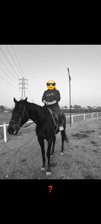 Horse Rider 🏇 community's profile image