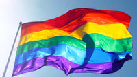 Rainbow love 🏳️‍🌈 community's profile image