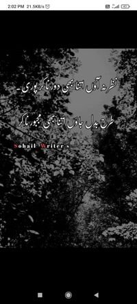sadaf community's profile image