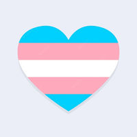 Trans pride 🏳️‍⚧️🏳️‍🌈 community's profile image