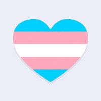 Trans pride 🏳️‍⚧️🏳️‍🌈 community's profile image