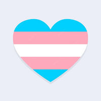 Trans pride 🏳️‍⚧️🏳️‍🌈 community's profile image