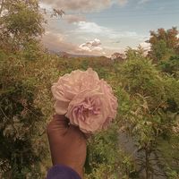 Divine Channelling and Healing community's profile image