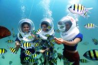 Group trip for Andaman community's profile image