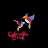 colorella_bird community profile picture