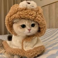 I will make your mind relax's avatar