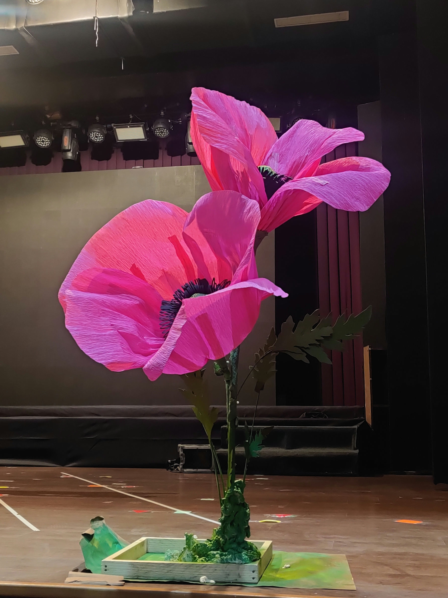 giant 5 feet poppies made as stage props!