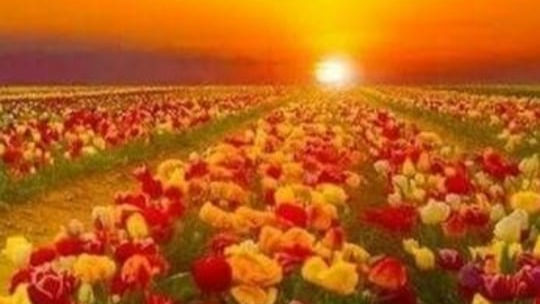 May every sunrise hold more promise and every sunset more peace.