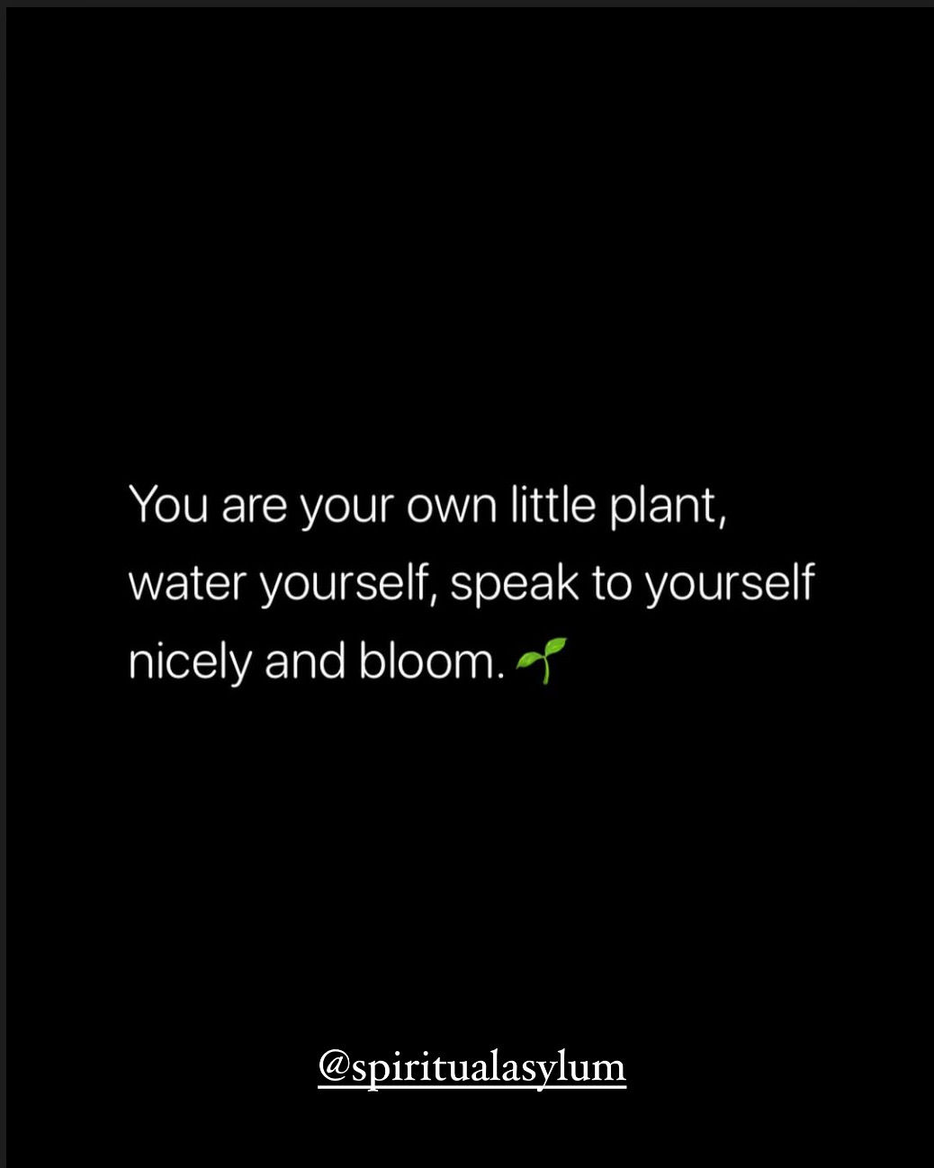 ….because the more you nurture yourself, the more you'll grow into the beautiful person you're meant to be.

#🌻