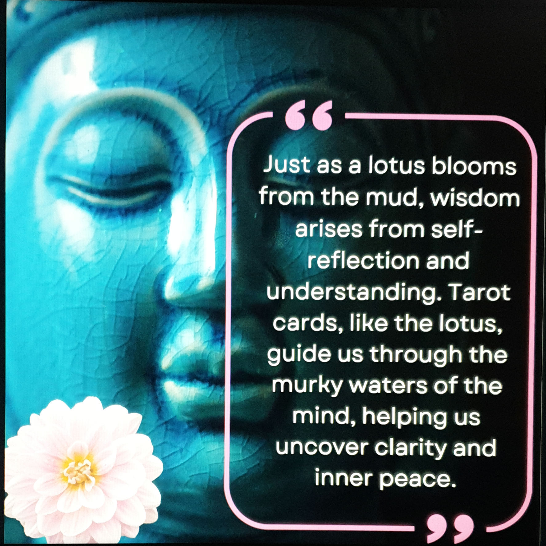 Friday Quote:
Like a lotus 🌸 blooming from the mud,Tarot reveals wisdom and clarity through the depths of Self-reflection 🥰🙏
 #  # 
 # 