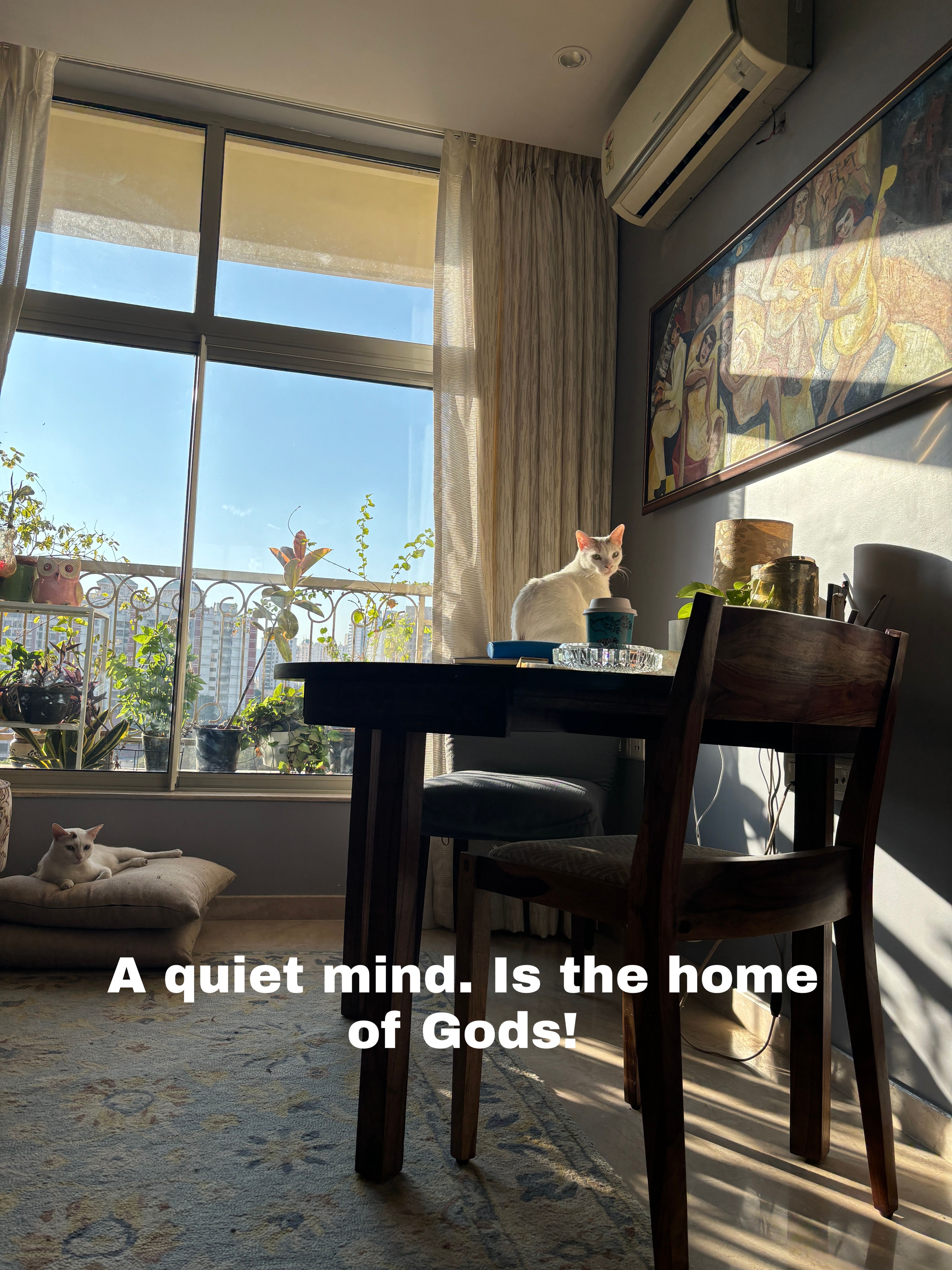 The older i am growing, the heavier is the weight of words. A quiet mind, is the Home of Gods.