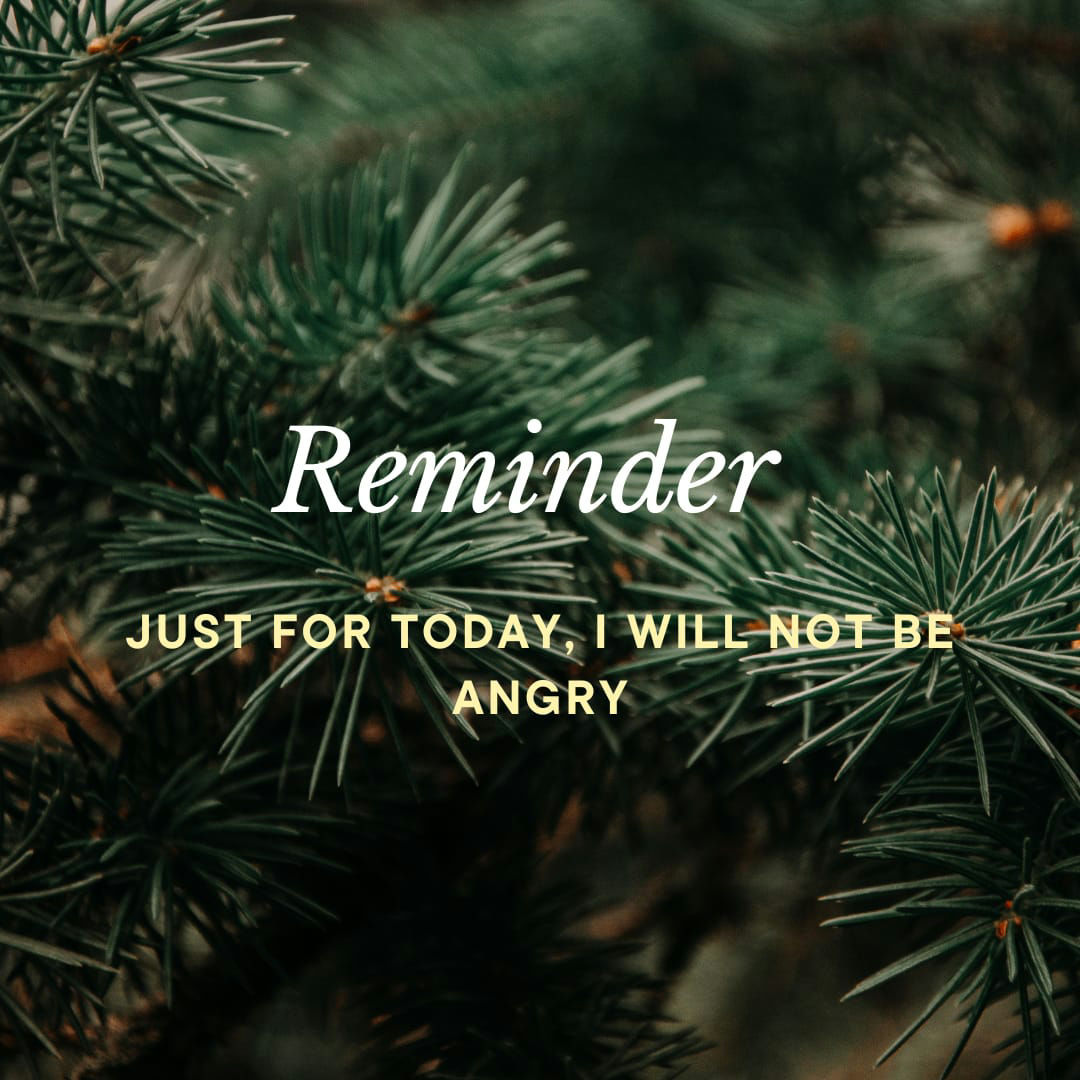 If you are trying to manifest a dream life for you, there is a gentle reminder for you: Take a deep breath, relax your forehead and Affirm " Just for today, I will not worry". 

Be mindful of what you say to yourself and see the power of your subconscious mind. 

Emotions like anger and worry brings a person's energy to lower vibrations making it difficult to manifest or enjoy the small beautiful moments of life. Instead of that do this to uplift your energy and allow calmness and peace into your life 

# # # #