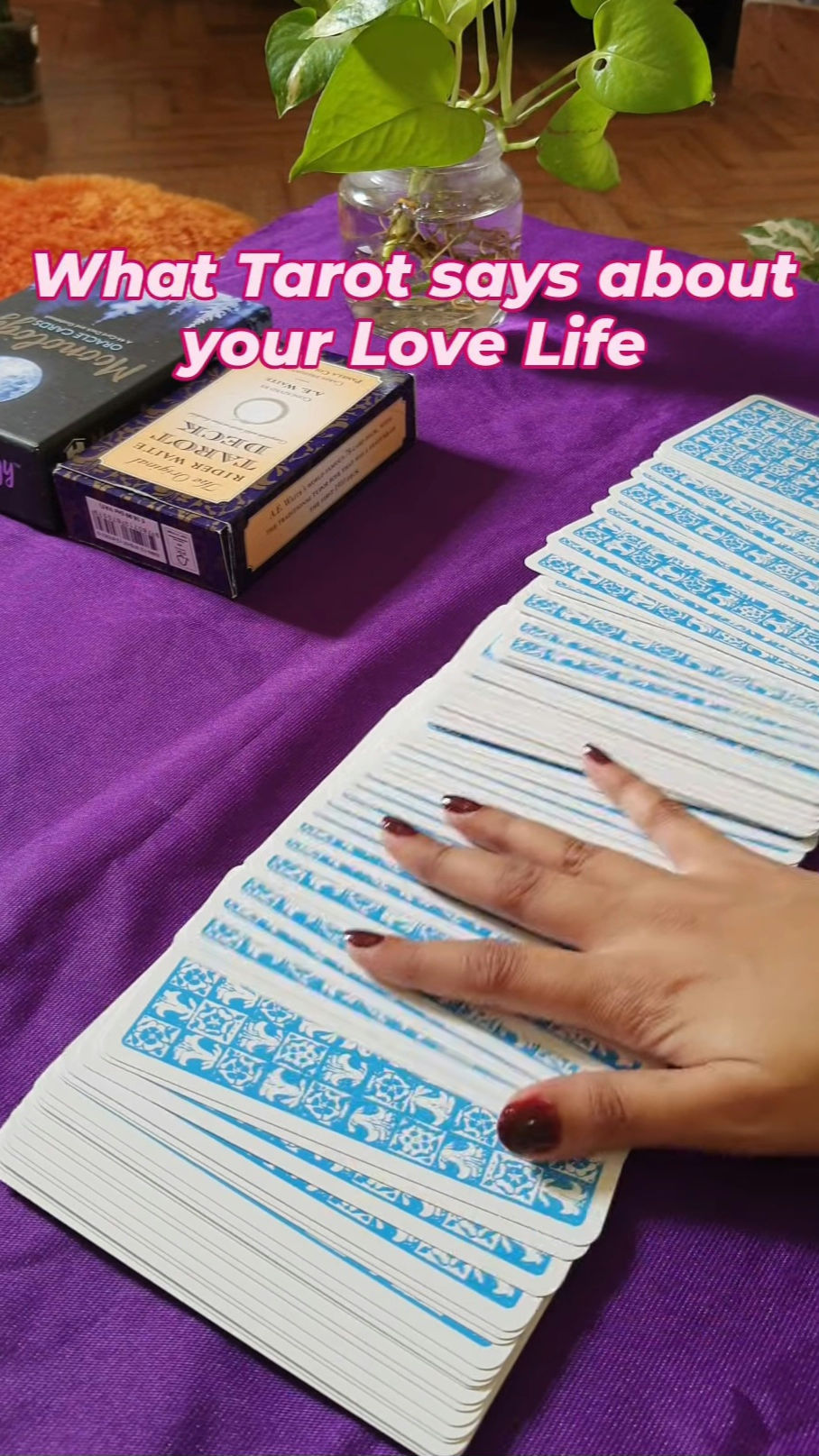 Tarot is your healing tool that can solve any relationship issues, showing you the right path for a new and better life.

Want to discover the mystical beauty of Tarot guidance? Join my live session : 12pm to 2pm and again at 5pm till 8pm.

Let me hold your hand and ease all your worries.
