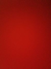 Creator profile picture