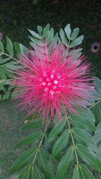 @radhadevi Profile Image | coto