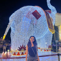 @itz_ayushi Profile Image | coto